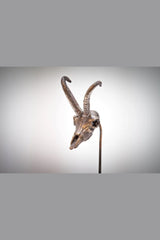 Gamshaupt 1,6 x 2,4cm Neusilber - neusilber/neusil