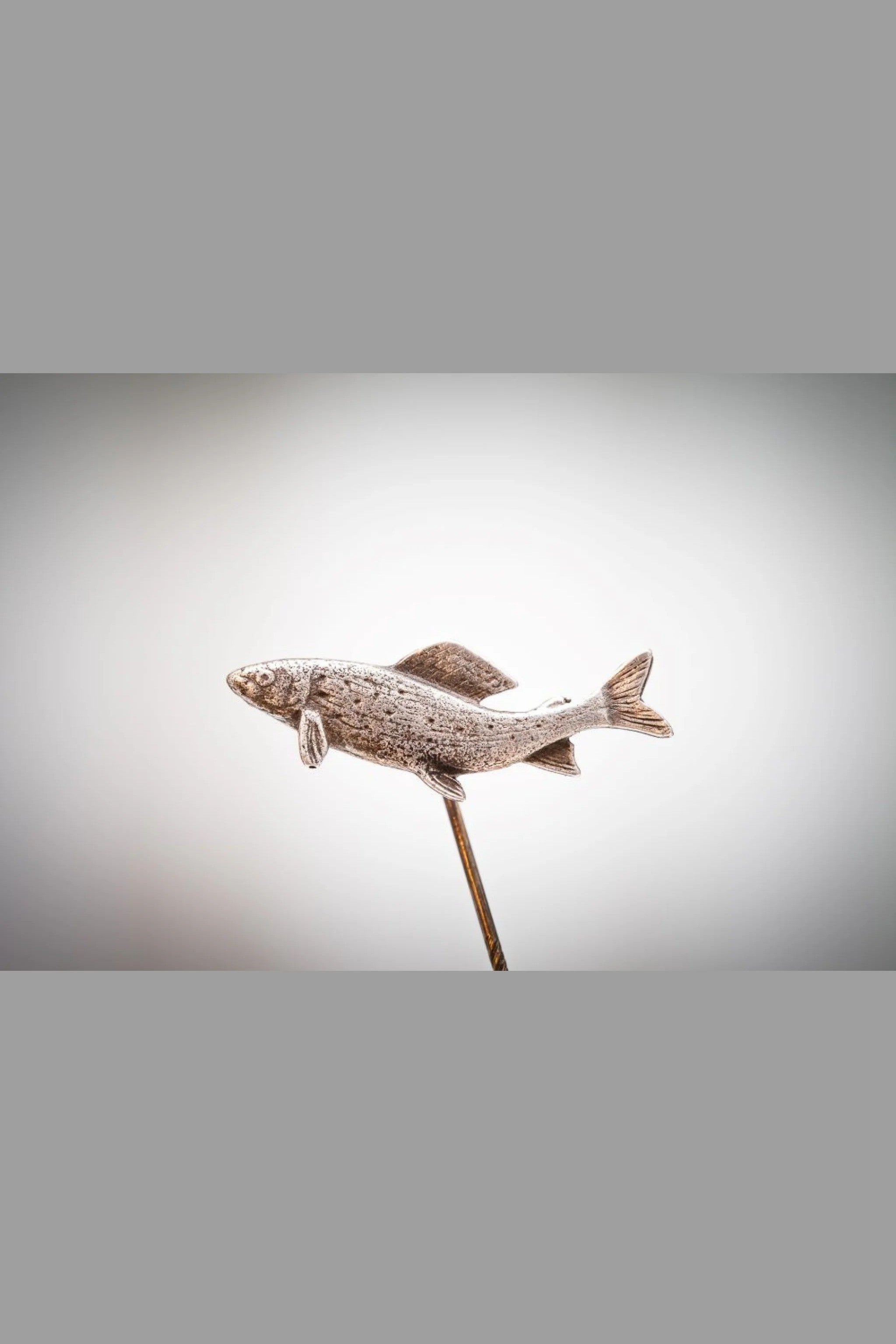 Äsche 3,2 x 1,6cm Neusilber - neusilber/neusilber