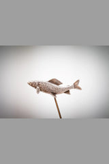 Äsche 3,2 x 1,6cm Neusilber - neusilber/neusilber