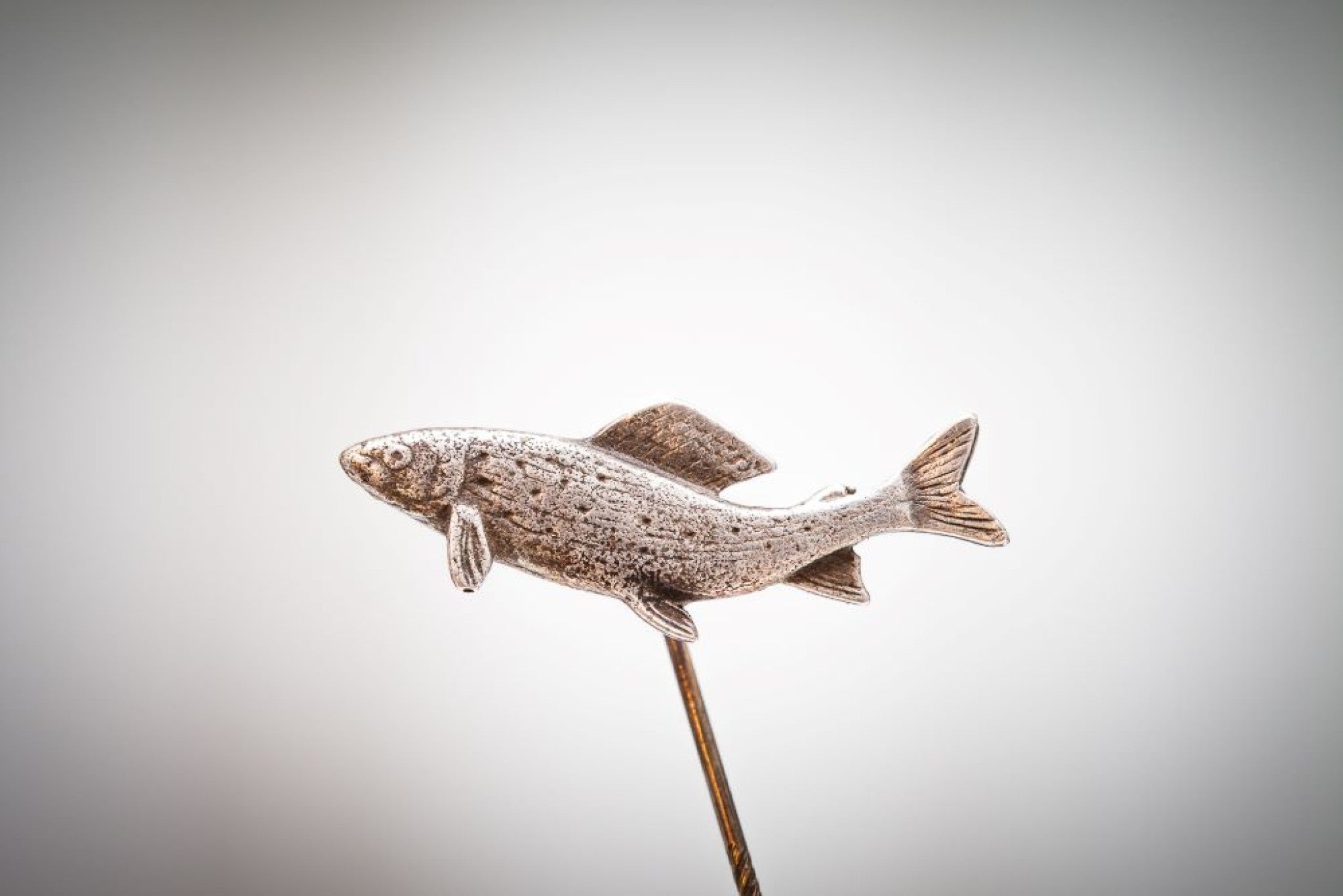Äsche 3,2 x 1,6cm Neusilber - neusilber/neusilber