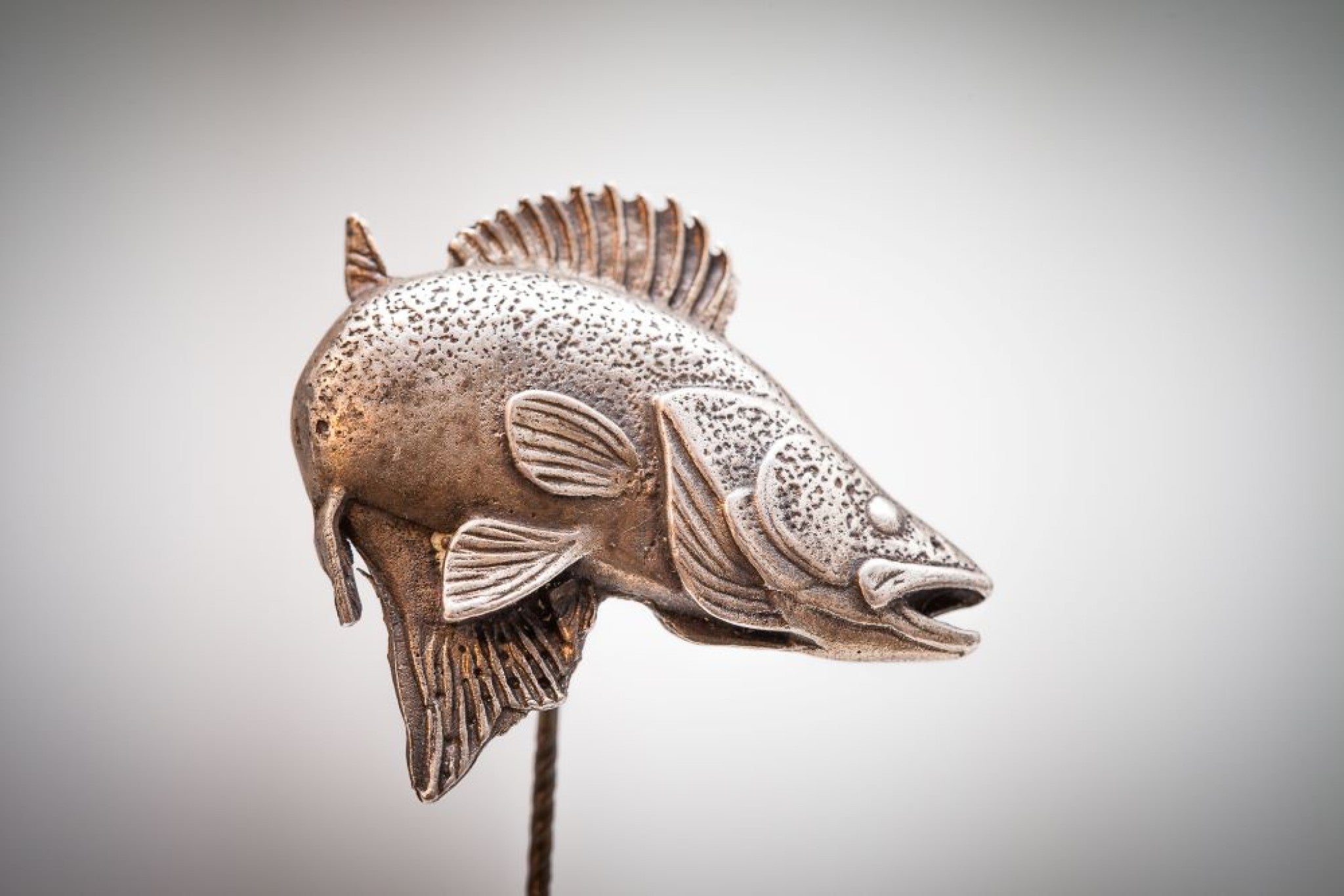 Anstecknadel Zander 3 x 3cm